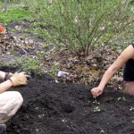 Tim Richardson and Kyra Shaughnessy in the la casa garden
